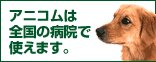 ani-com_banner_mini.gif