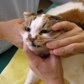 PA210037.JPG